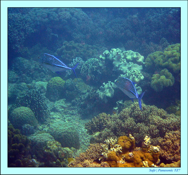 2012 - 07 - Apoh Island 16